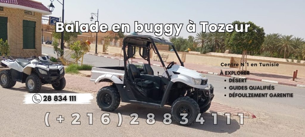 Balade en buggy à Tozeur