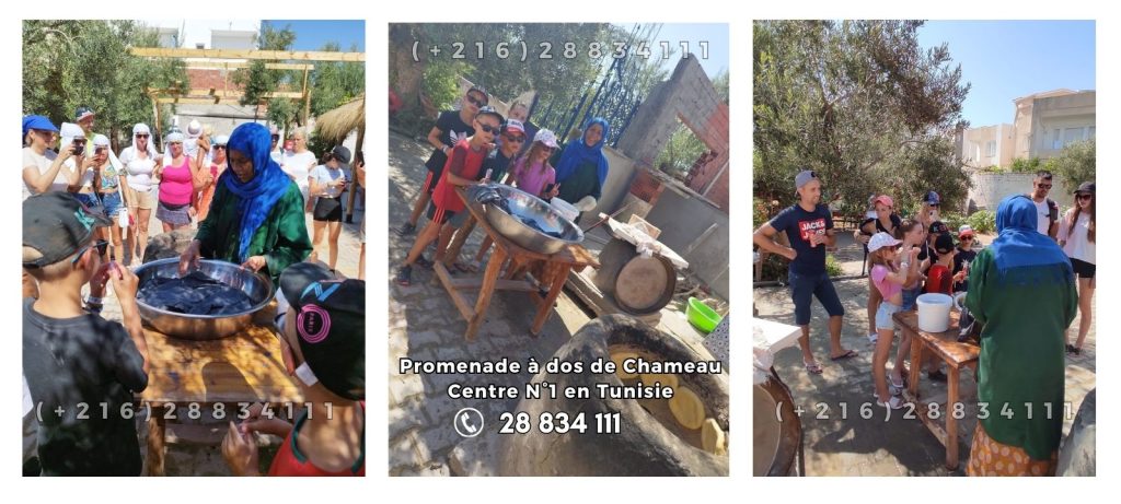 Excursion Chameau à Monastir en Tunisie