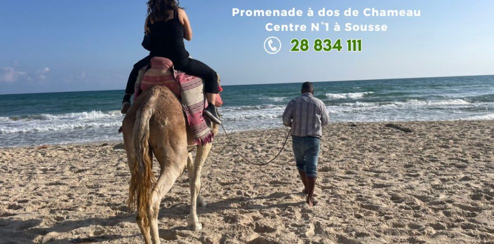 Promenade à dos de chameau à Sousse en Tunisie
