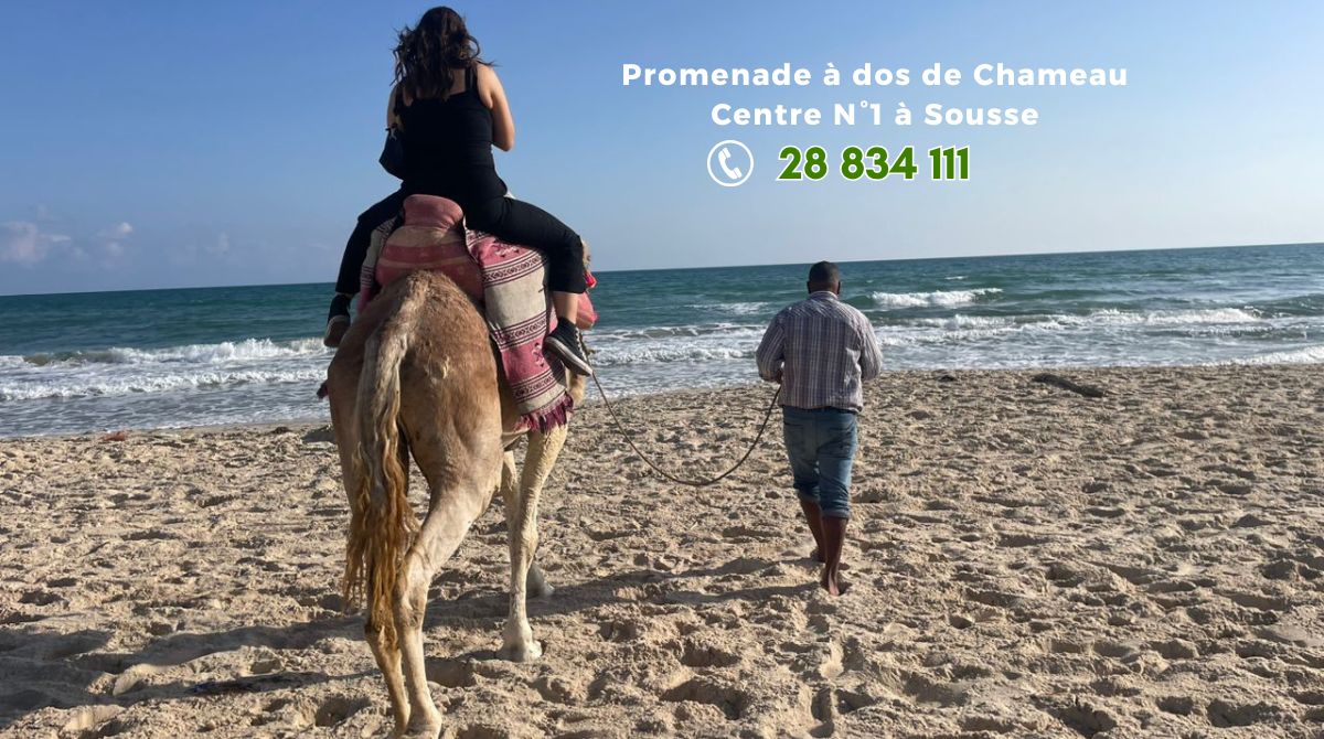 Promenade à dos de chameau à Sousse en Tunisie
