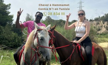 Cheval à Gammarth