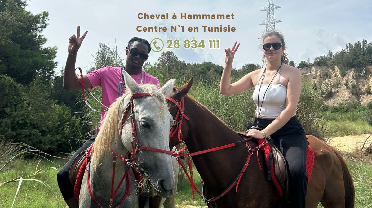 Cheval à Gammarth