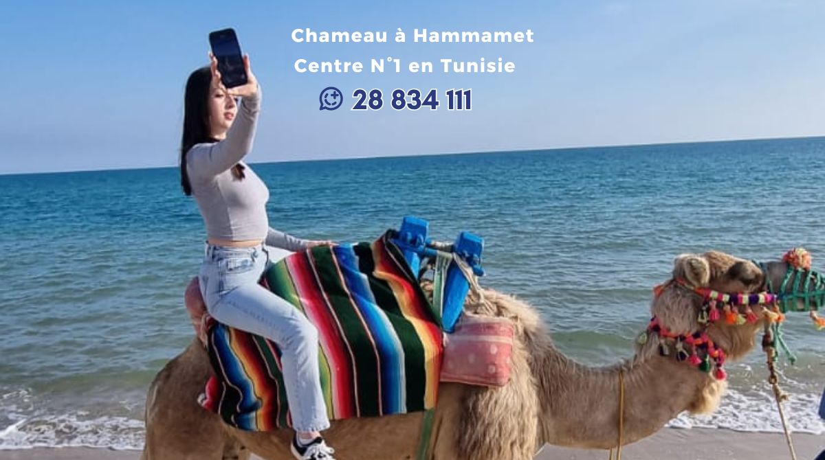Chameau à Hammamet