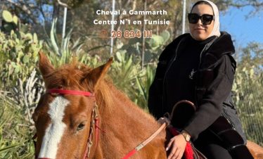 Cheval à Gammarth