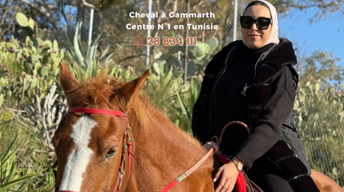 Cheval à Gammarth