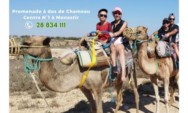 Chameau Monastir