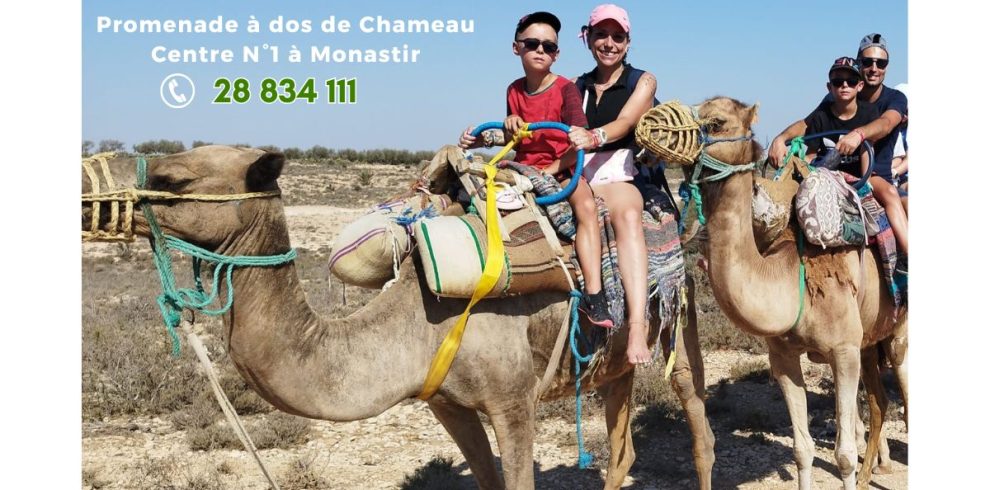 Chameau Monastir