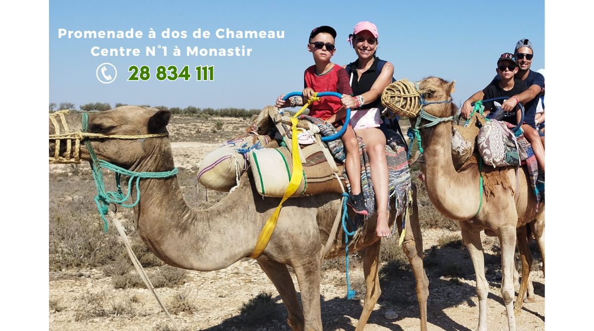 Chameau Monastir