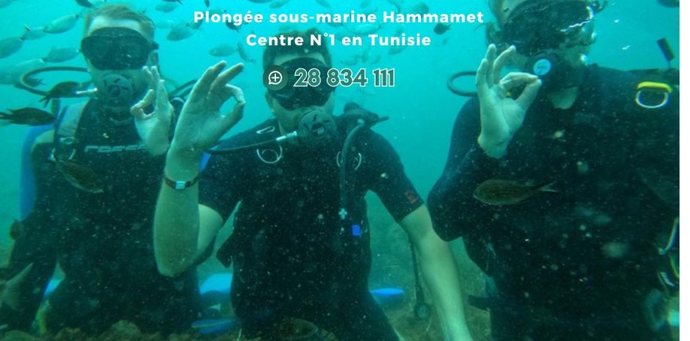 Plongée sous -marine Hammamet