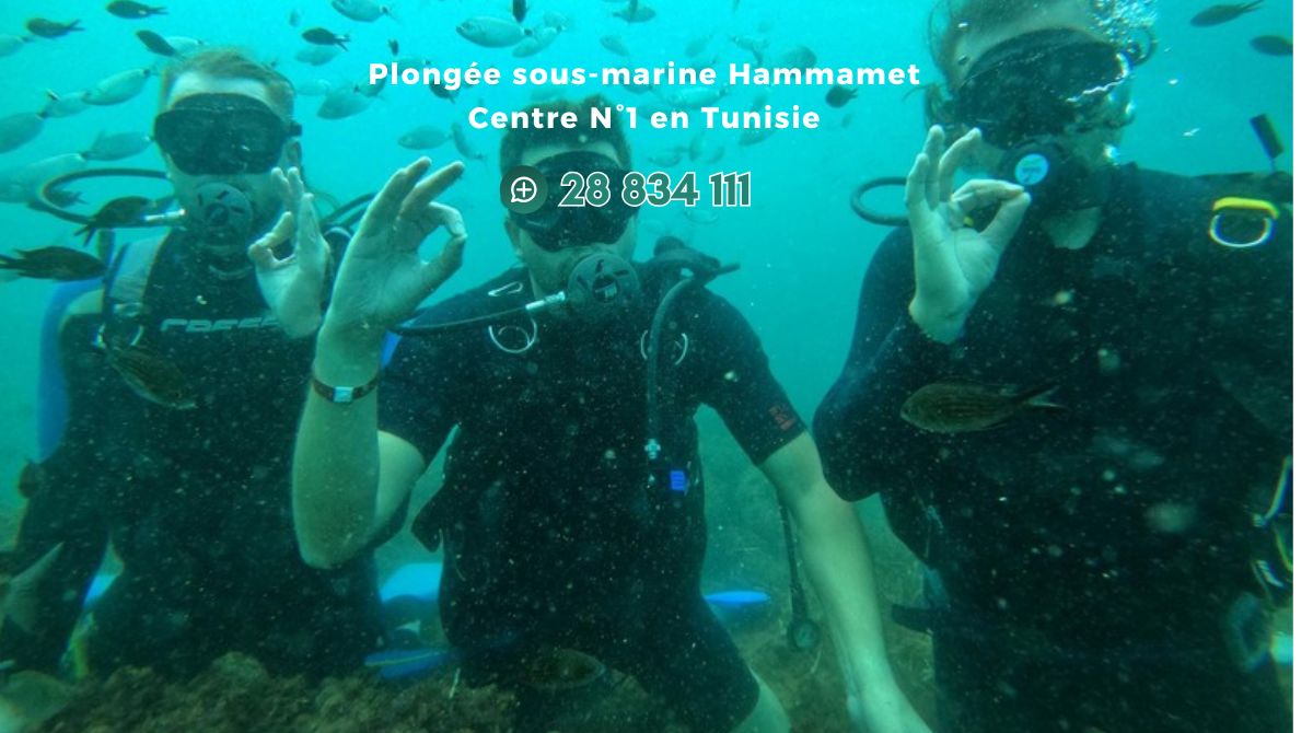 Plongée sous -marine Hammamet