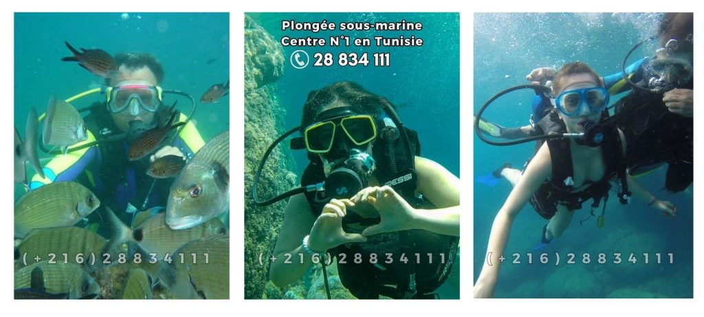 plongée sous-marine Hammamet