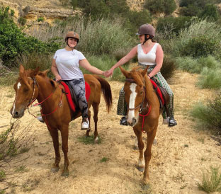 Équitation Cheval