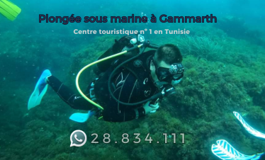 Plongée sous marine à Gammarth