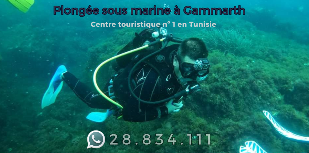 Plongée sous marine à Gammarth
