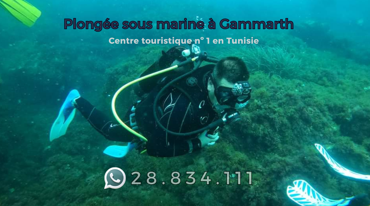 Plongée sous marine à Gammarth
