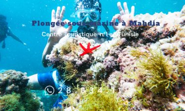 Plongée sous-marine à Mahdia