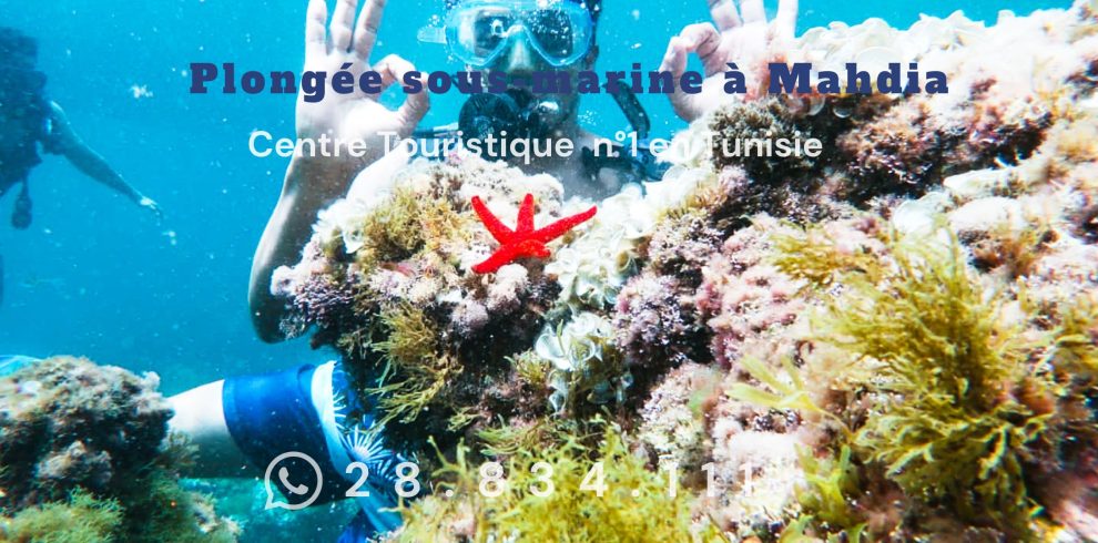 Plongée sous-marine à Mahdia