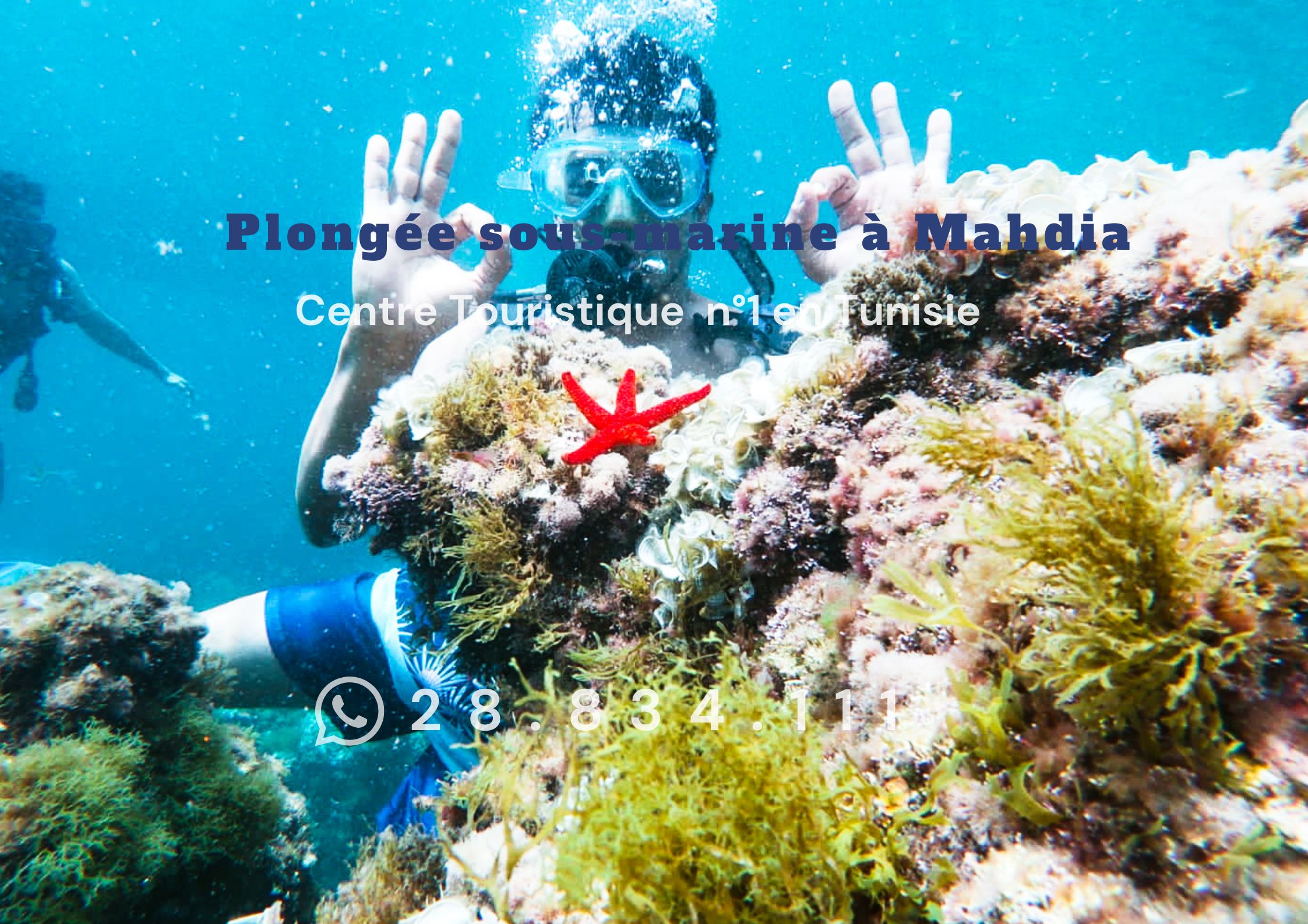 Plongée sous-marine à Mahdia