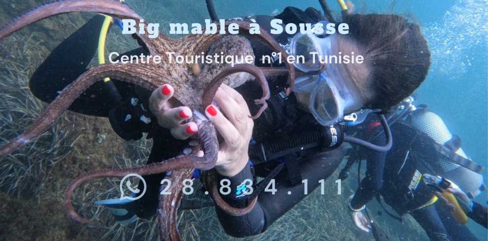 Plongée sous marine à Sousse