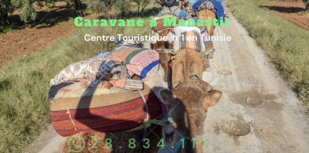 Caravane à Monastir