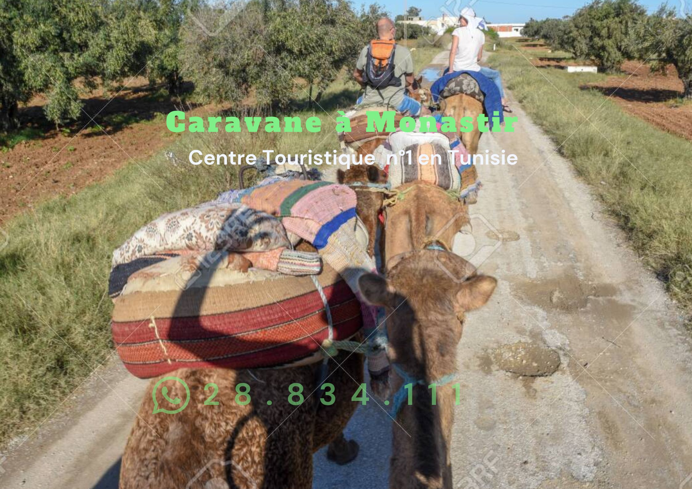 Caravane à Monastir