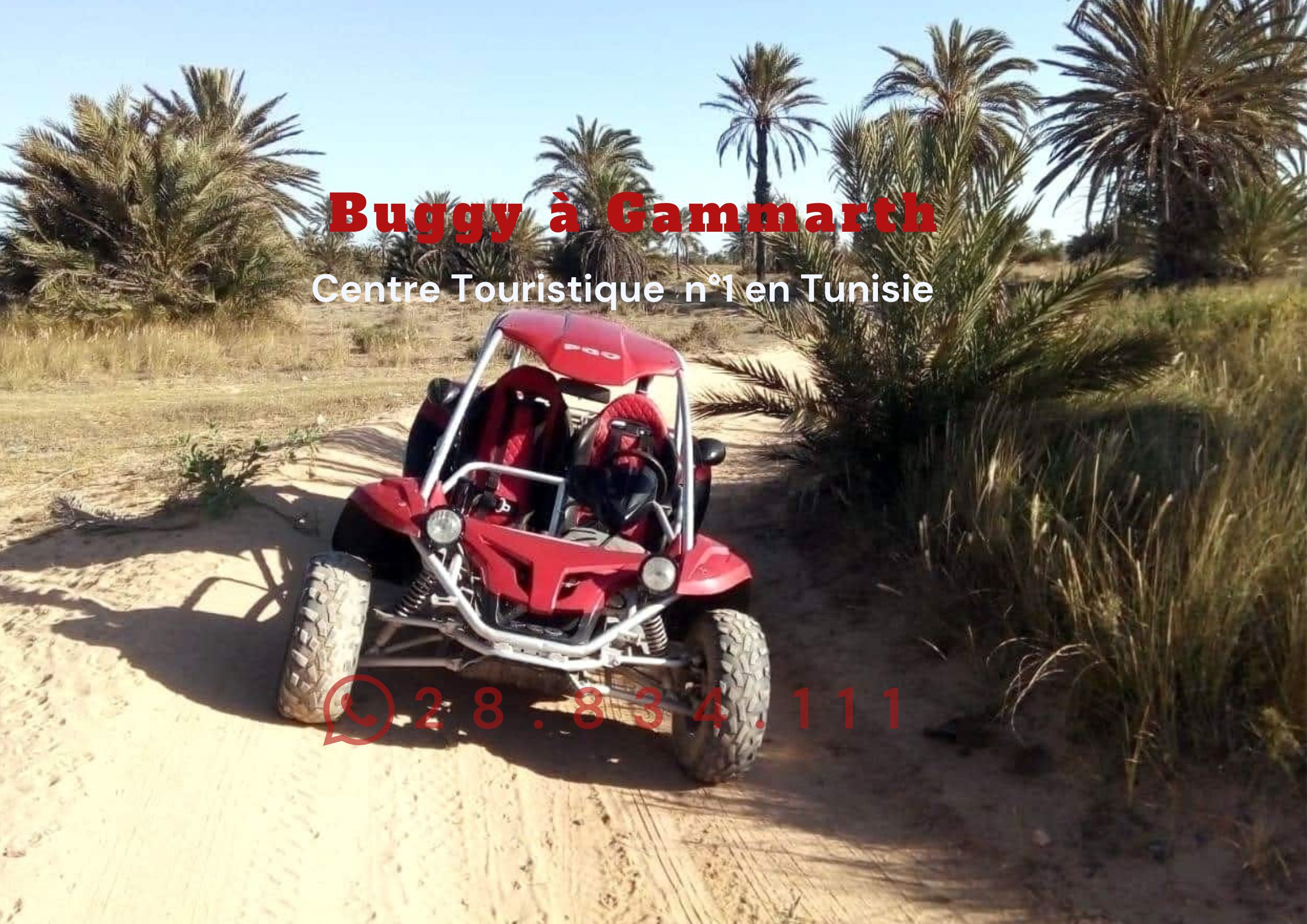Buggy à Gammarth