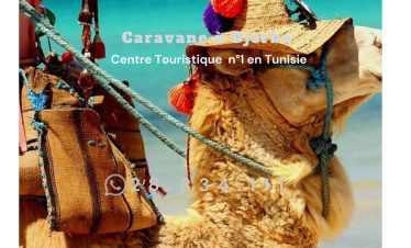 Caravane à Djerba