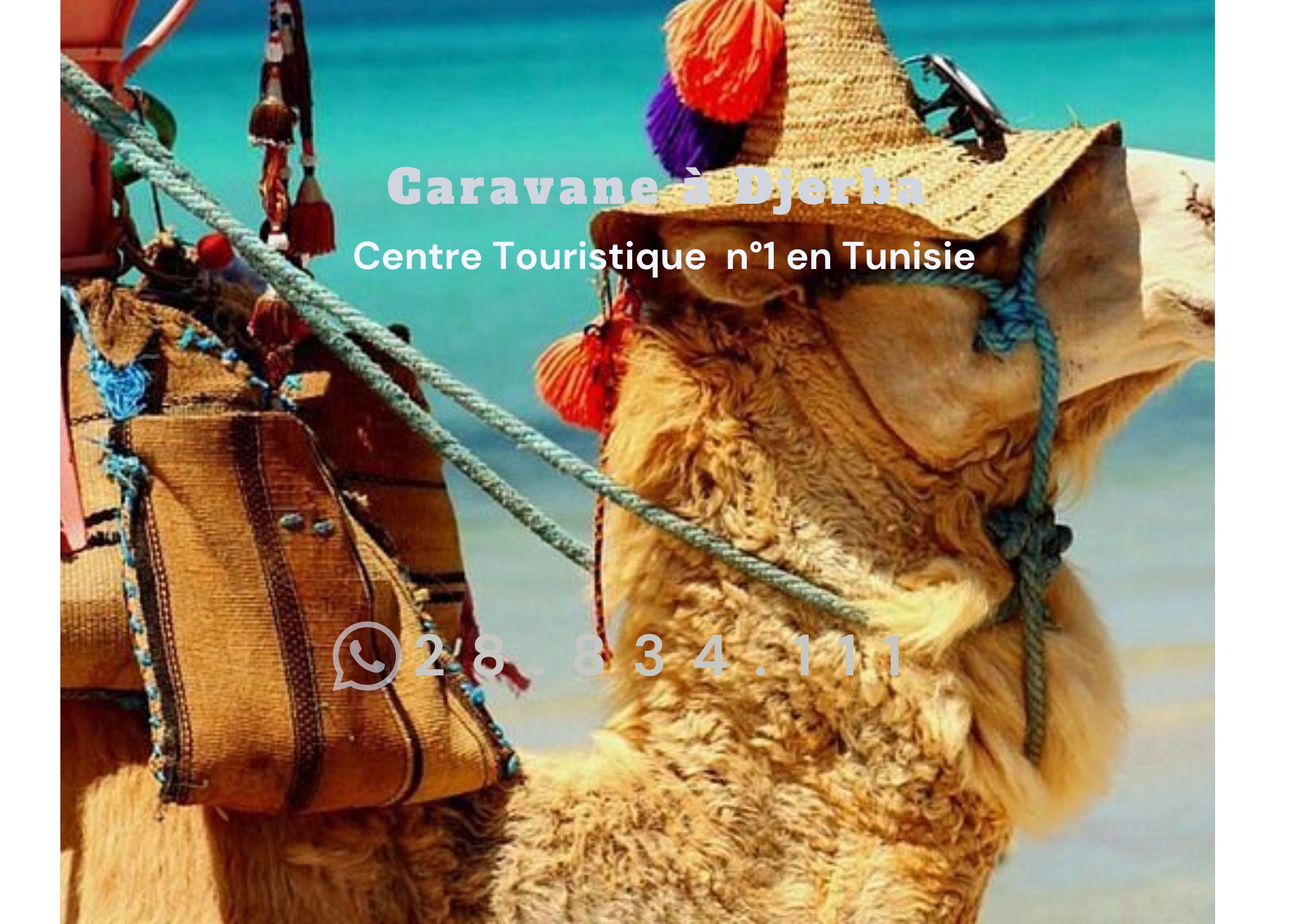 Caravane à Djerba