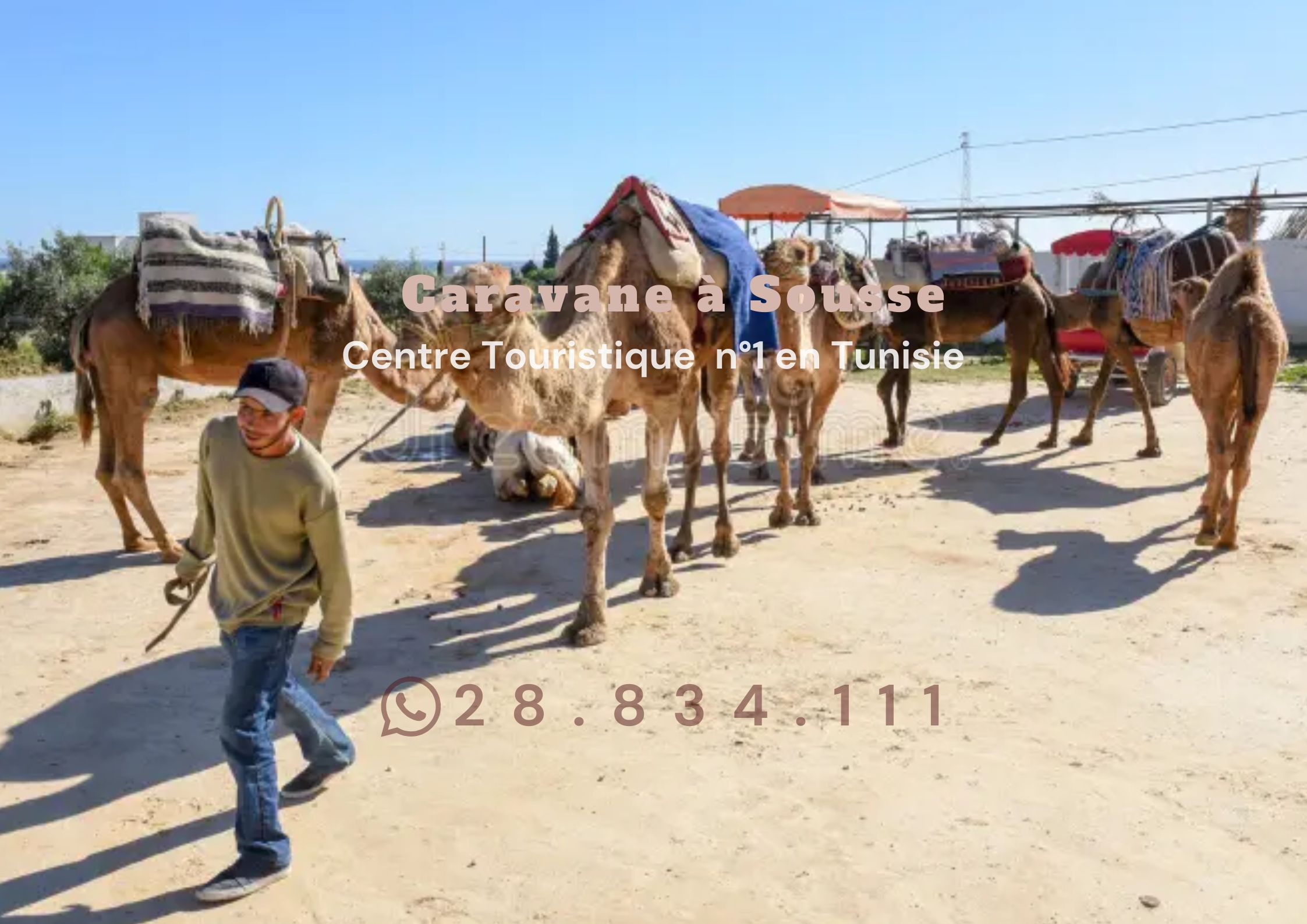 Caravane à Sousse