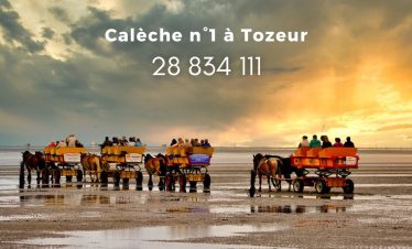 Calèche à Tozeur