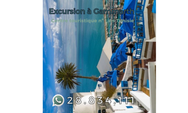 Excursions à Gammarth