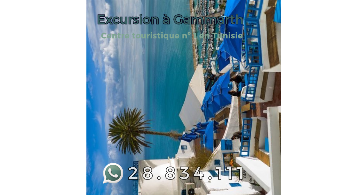 Excursions à Gammarth