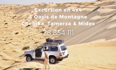 Excursion en 4x4 dans les oasis de montagne Chebika, Tamerza et Mides en Tunisie