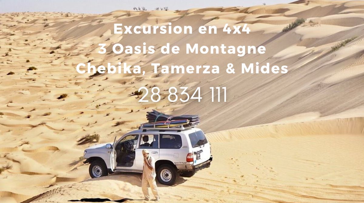 Excursion en 4x4 dans les oasis de montagne Chebika, Tamerza et Mides en Tunisie