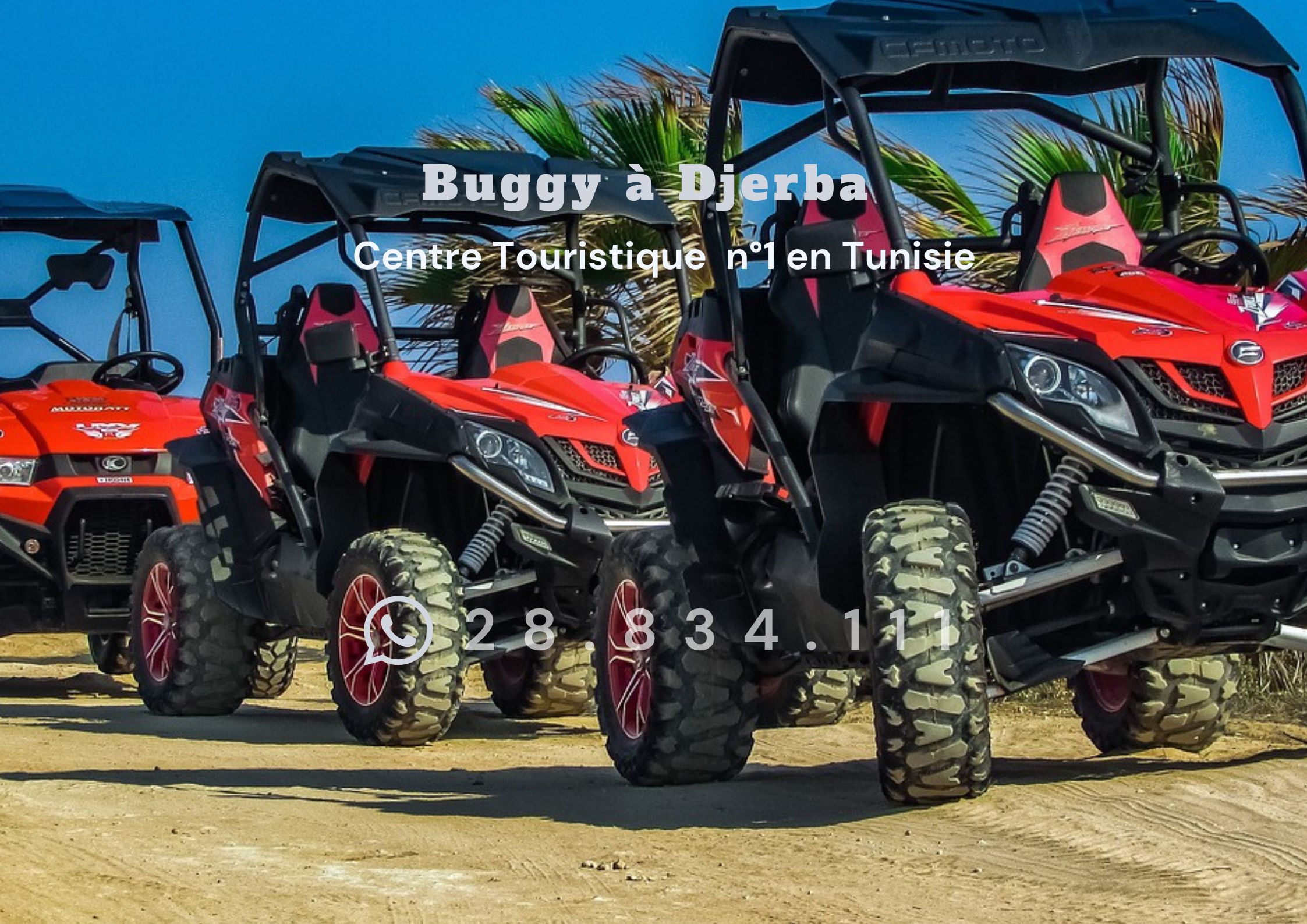 buggy à Djerba