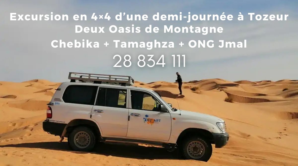 Excursion en 4×4 d’une demi-journée à Tozeur