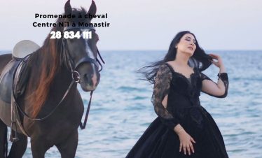 Cheval à Monastir